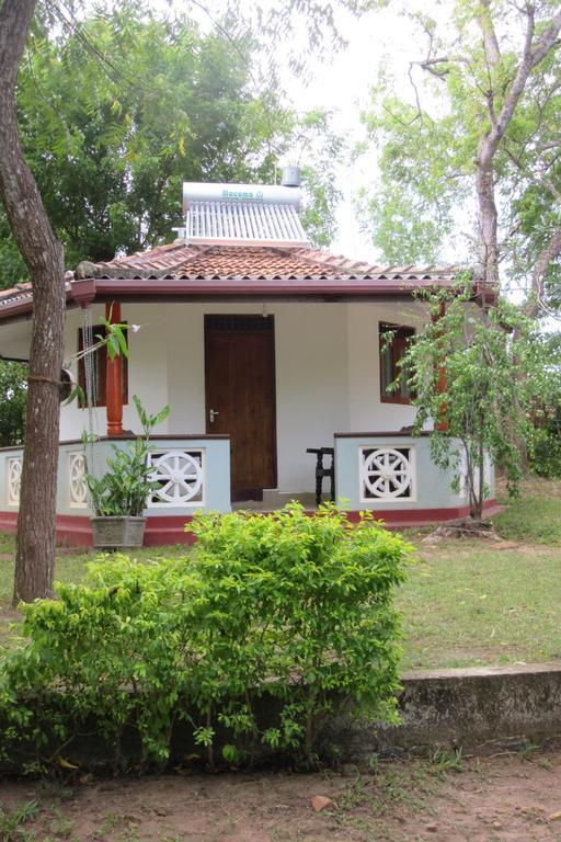 Calm Garden Cabanas Tangalle Zewnętrze zdjęcie